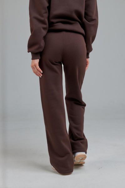 Штани жіночі з начосом коричневі (М0121.4)