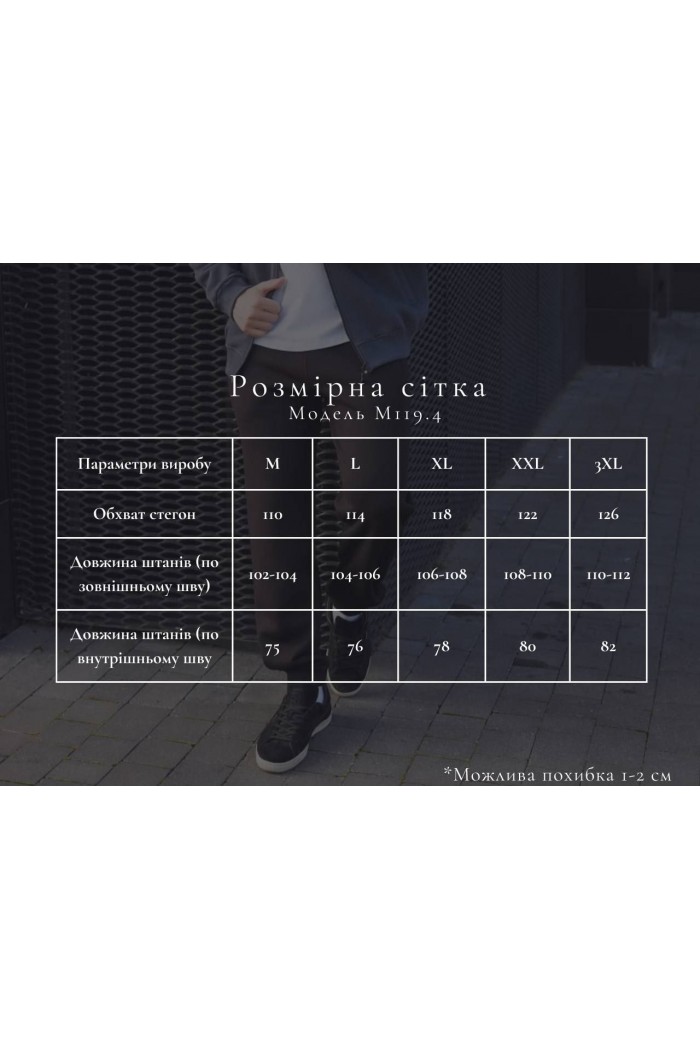 Спортивные мужские штаны начос темно синие