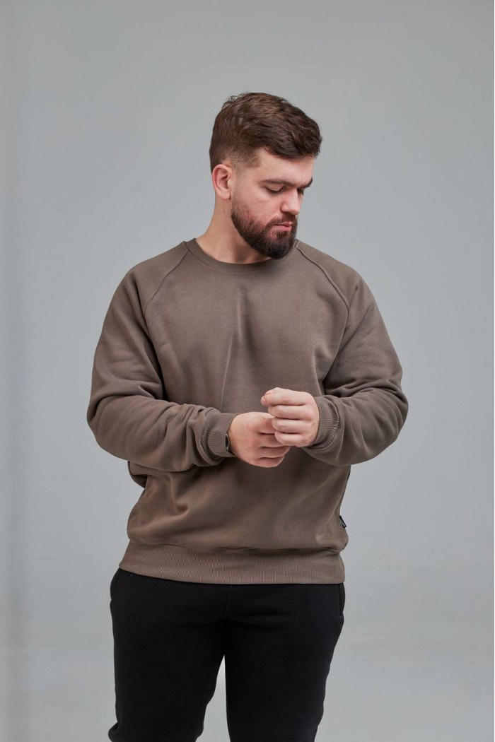 Свитшот мужской бежево серый (М0138.4)