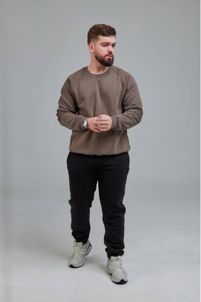 Свитшот мужской бежево серый (М0138.4)