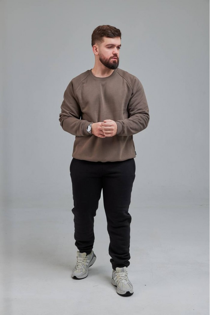 Свитшот мужской бежево серый (М0138.4)