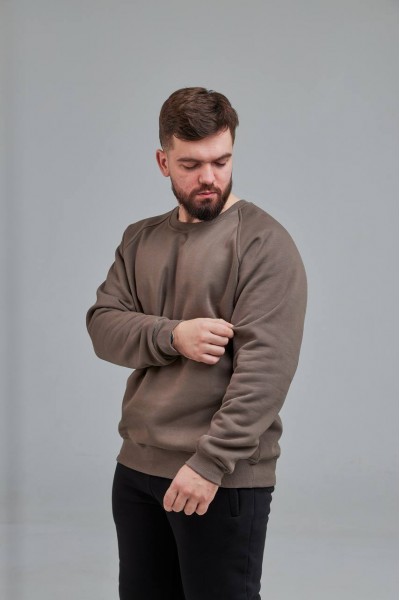 Свитшот мужской бежево серый (М0138.4)