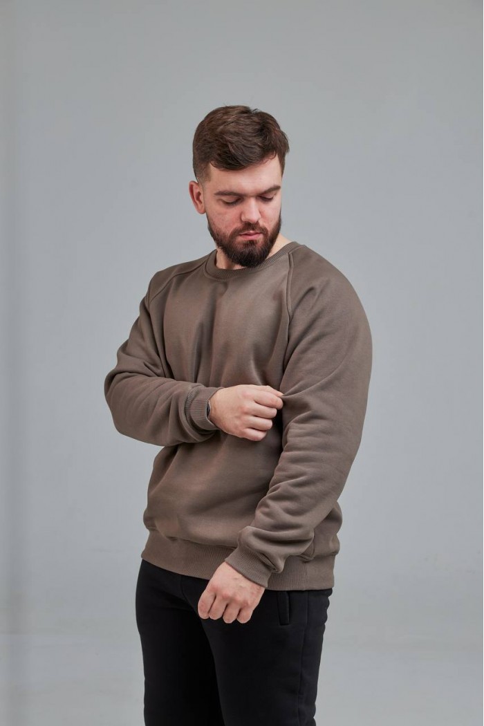 Свитшот мужской бежево серый (М0138.4)