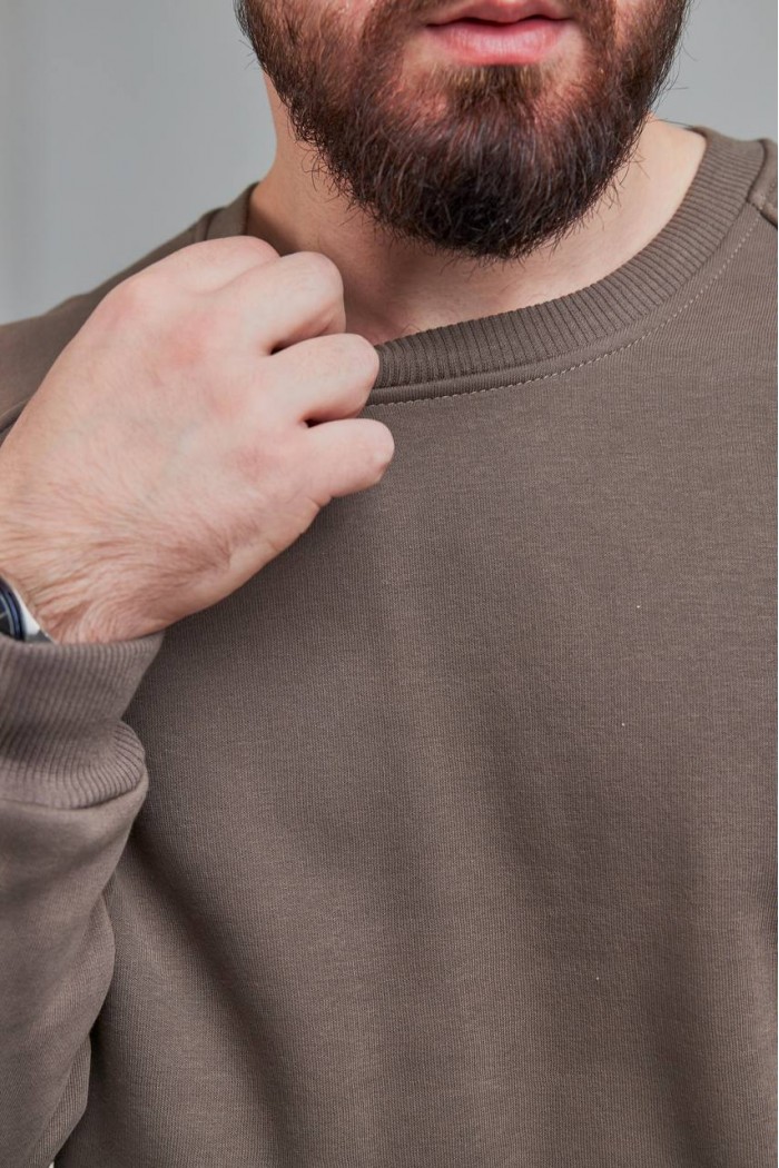 Свитшот мужской бежево серый (М0138.4)