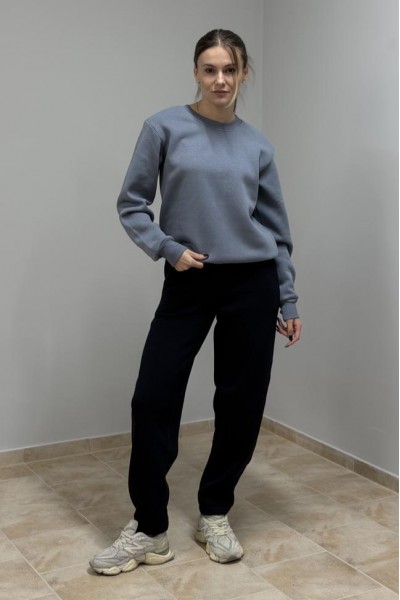 Світшот жіночий з начосом сірий (М116.4)