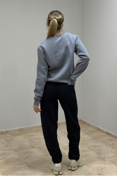 Світшот жіночий з начосом сірий (М116.4)